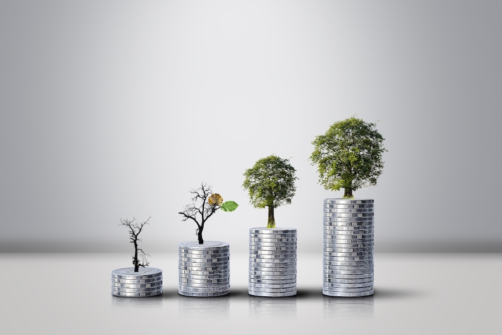 coins stacked with trees growing out of the top