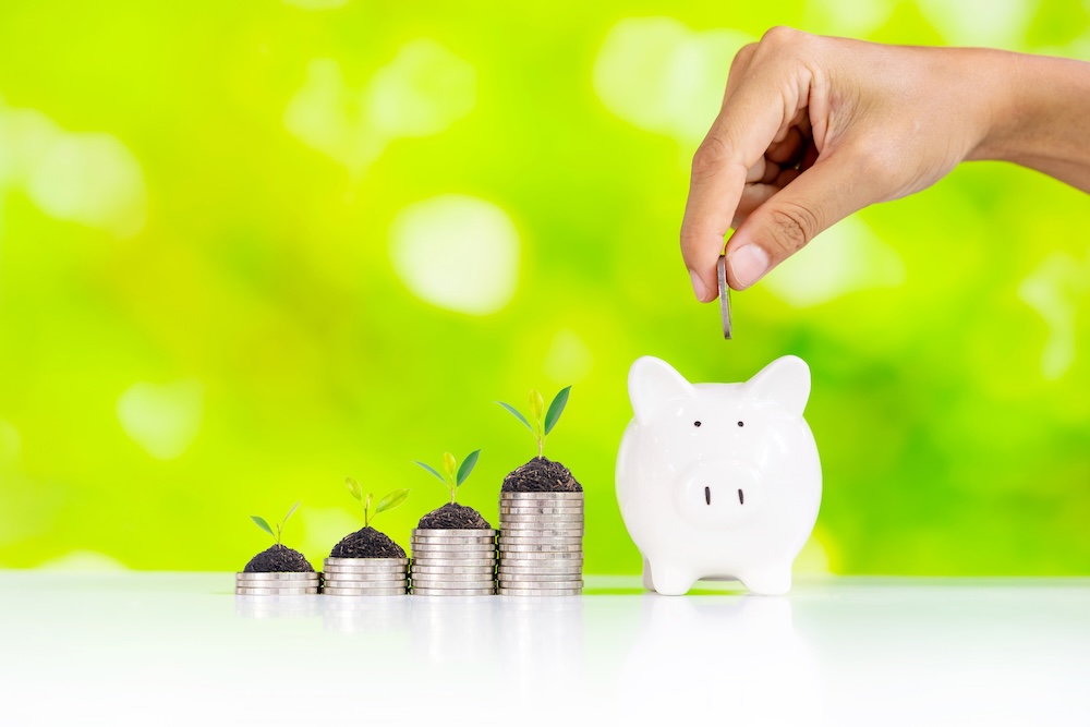 stack of coins with sprouting plant coming out of the top of a penny bank