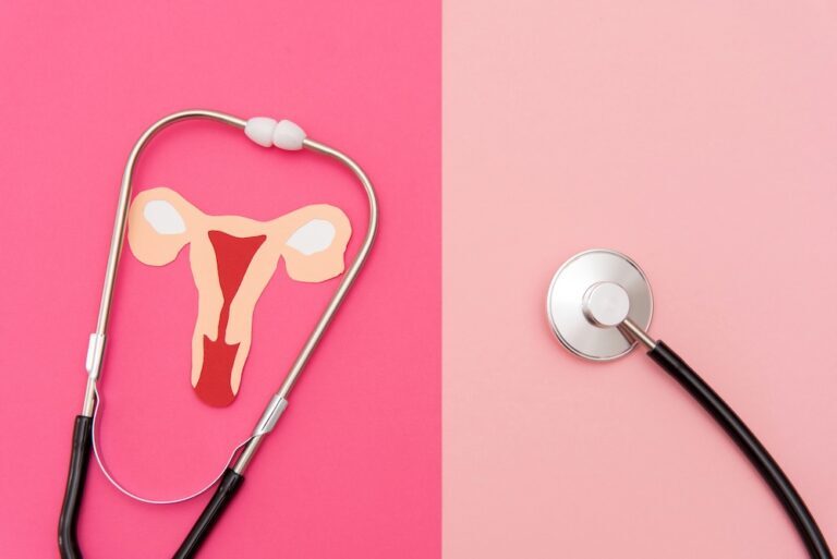 paper uterus on a pink background with a stethoscope
