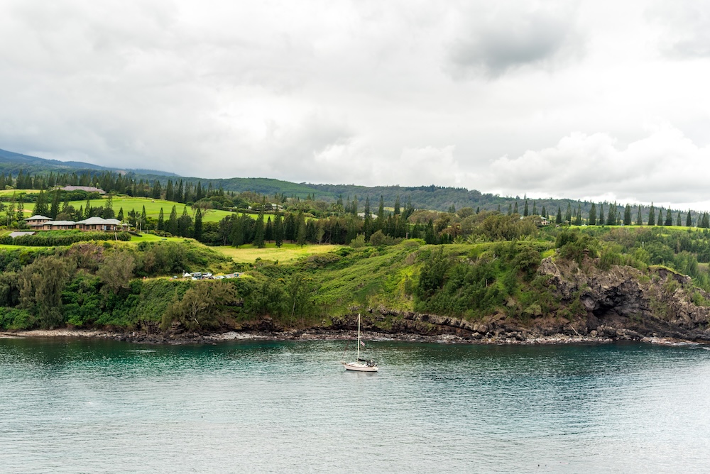 coastal view of maui, honolua bay