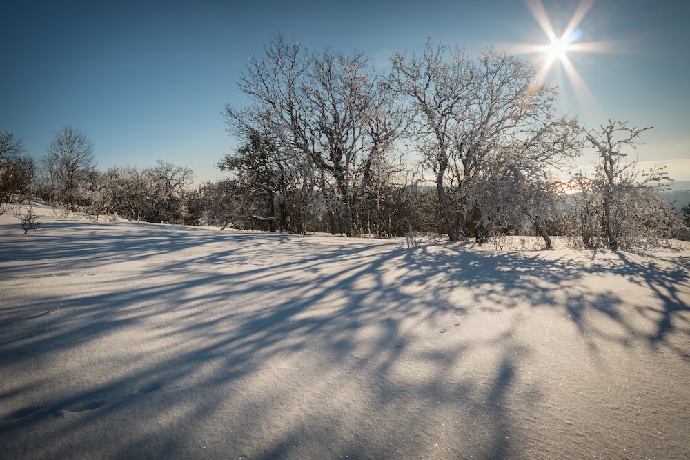 thin layer of snow in the south