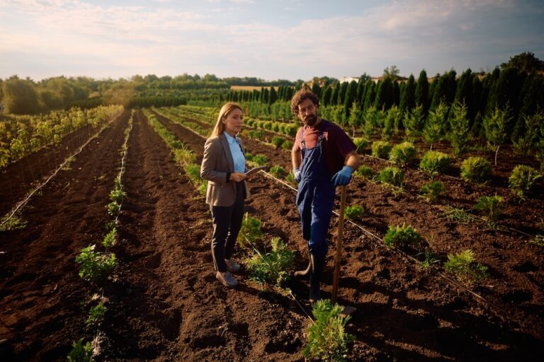 Farm workers standing among seedlings