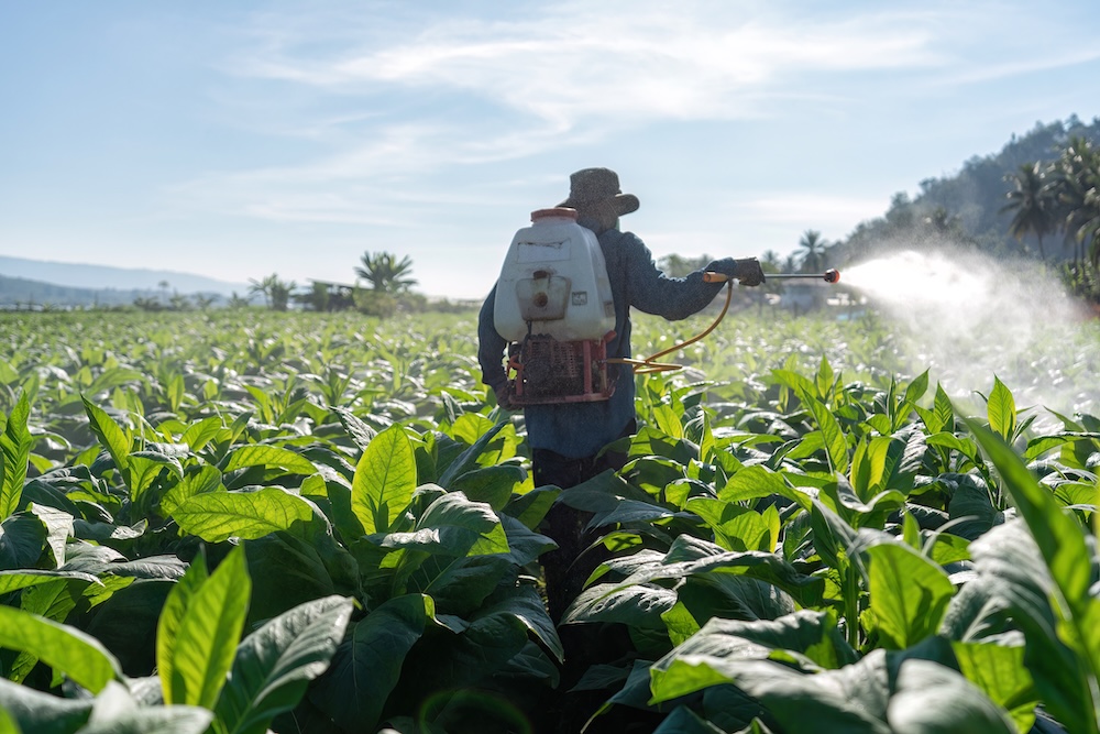 Farmer spraying pesticide on crops
