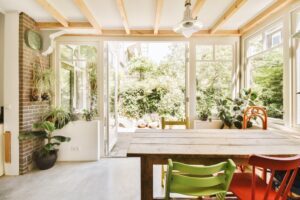 Simple modern kitchen with plants