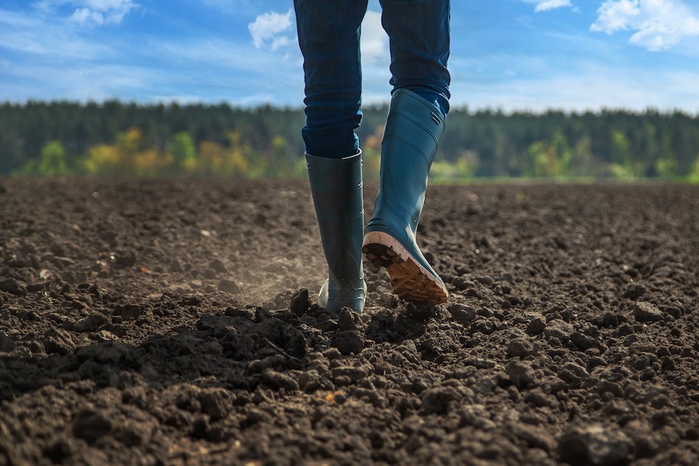 Person walking on fresh soil on farmland