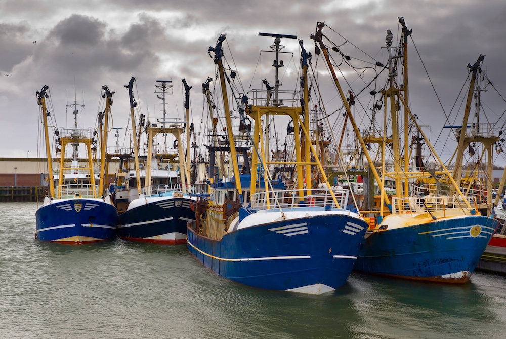 Modern fish fleet docked