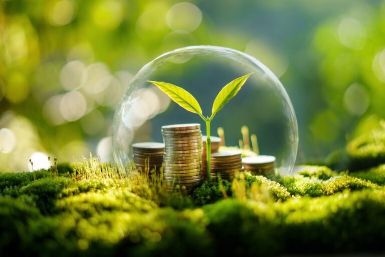 Glass dome over a growing plant with coins stacked