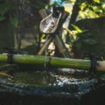 Bamboo water catch and irrigation