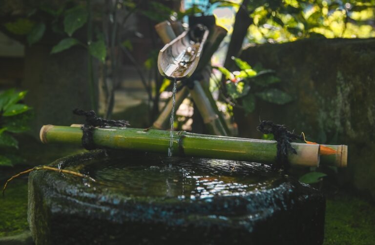 Bamboo water catch and irrigation