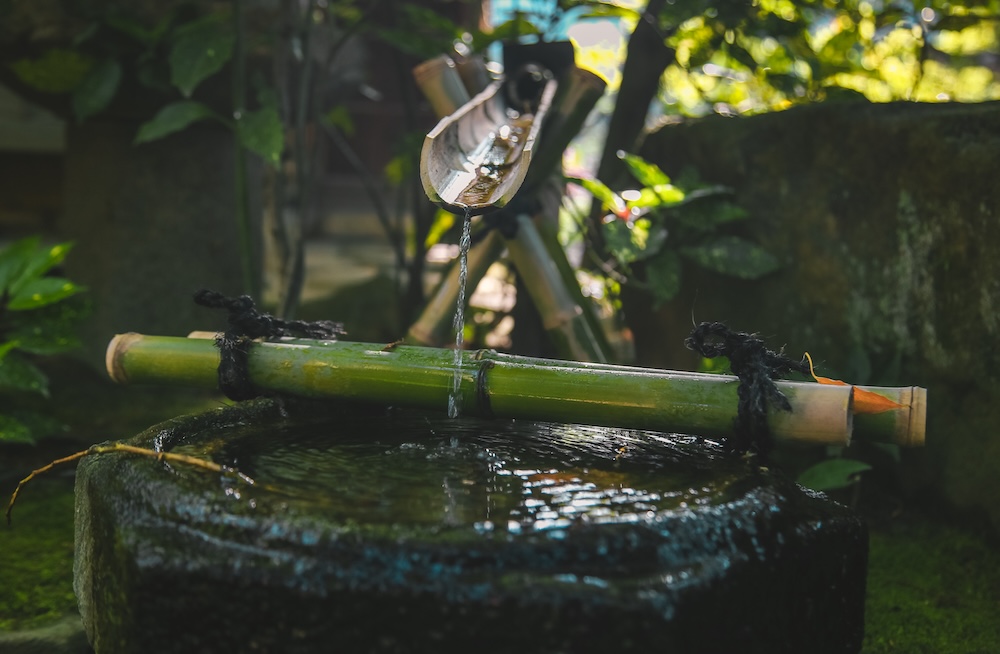 Bamboo water catch and irrigation