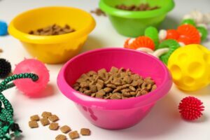 plastic pet bowl with good and plastic toys