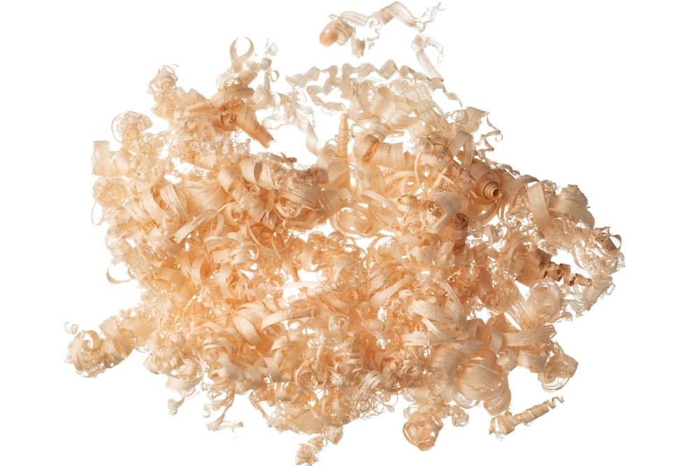 Wood shavings and curls on a white background