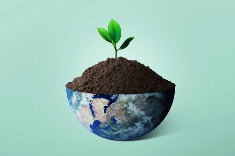 Regenerative earth with a root coming out of soil