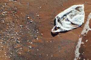 Plastic bag laying in the sand by the shore