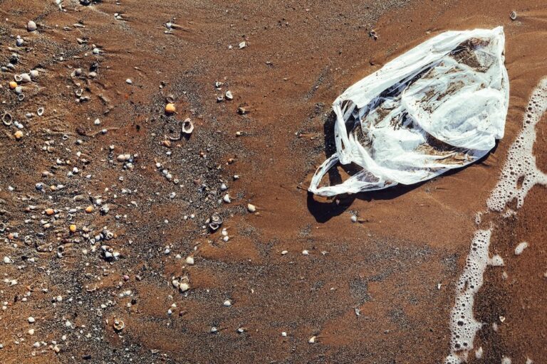 Plastic bag laying in the sand by the shore