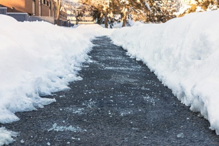 path shoveled with salt added for melting snow and ice
