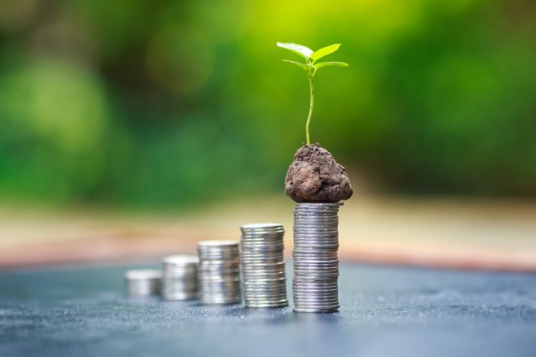 coins stack upward with a plant growing out of the top
