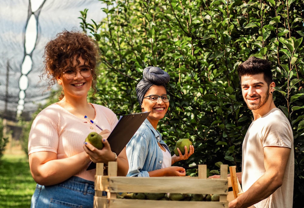 Young group of agriculture students growing vegetables