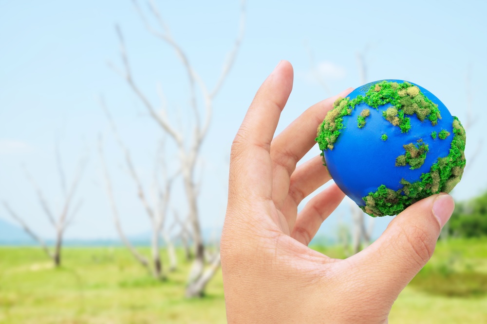 Person holding earth in their hands with lush greenery on the planet