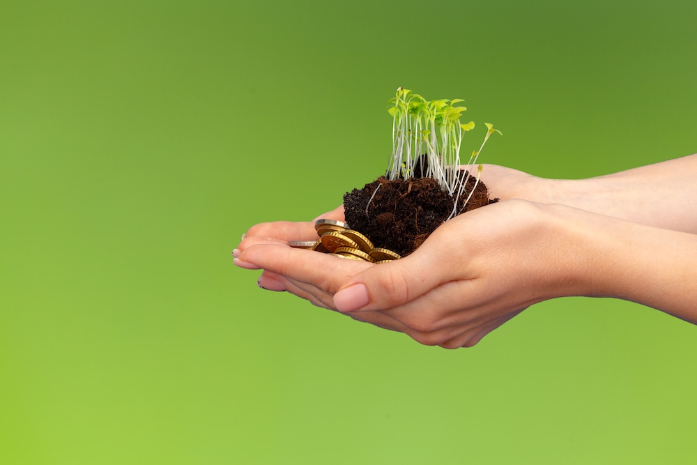 Person holding coins, soil, and seedlings