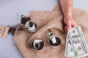 Person planting dollars in soil for growth