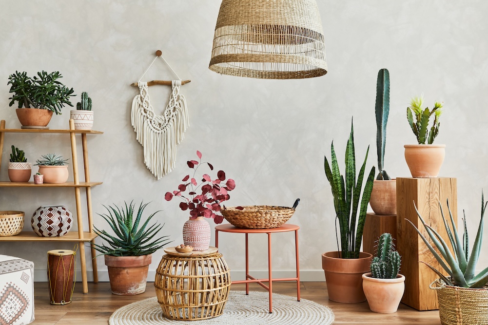 Plants mixed in with interior materials