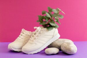 White sneakers with a eucalyptus branch inside