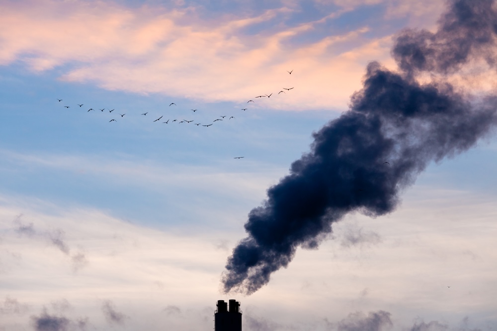 Industrial chimneys polluting the air with birds flying over