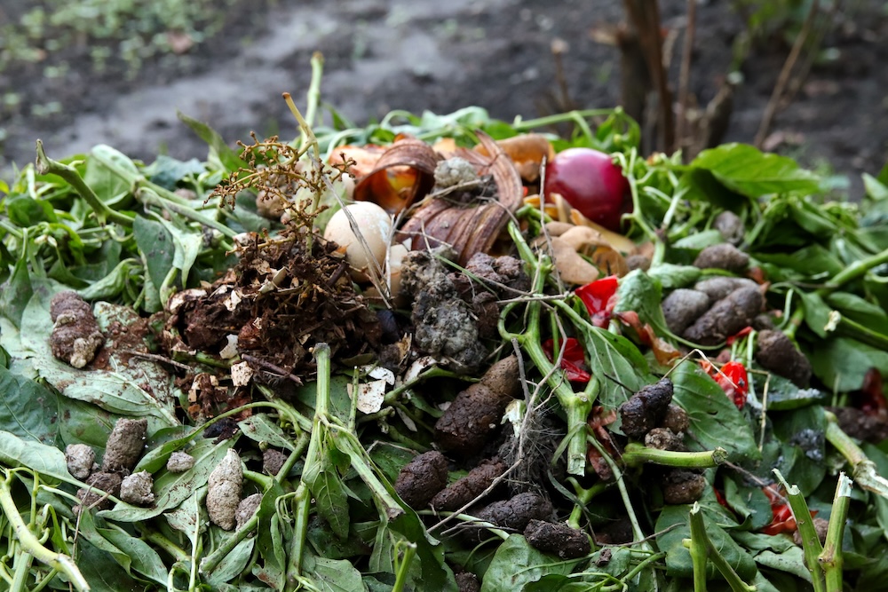 pile of compost in garden with different organic smells