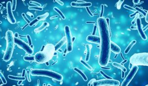 up close bacteria on a blue background