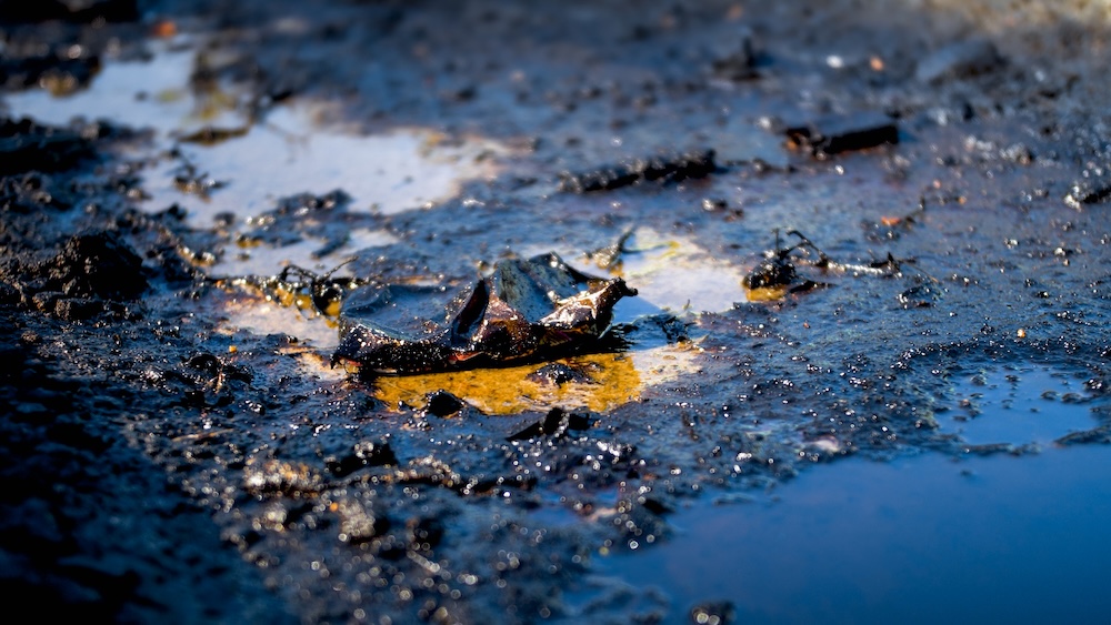 closeup of toxic sludge and waste on shoreline