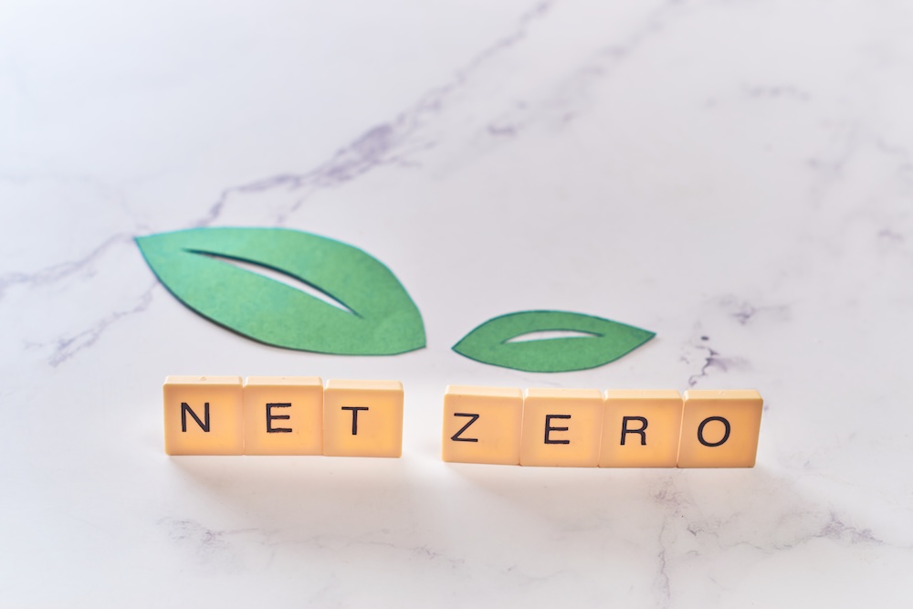 the world net zero spelled out on wooden squares