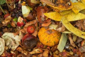 compost pile of organic and seasonal fruits and vegetables