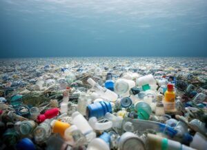 plastic waste resting on shallow ocean floor