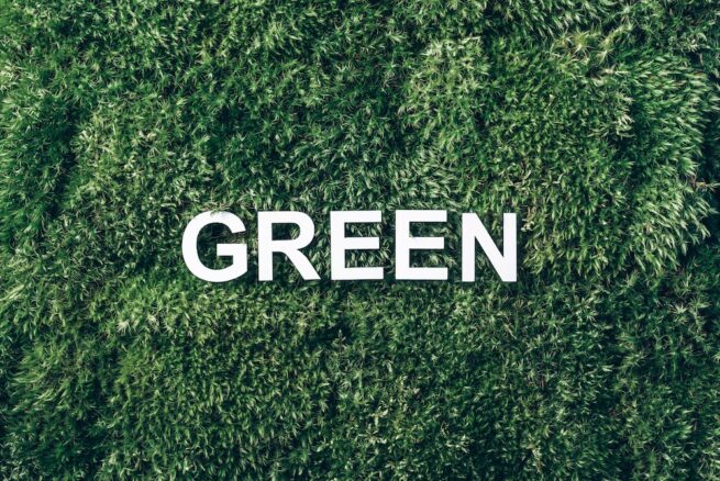 What Does “Green” Really Mean? (And Why It’s Not Always Sustainable ...
