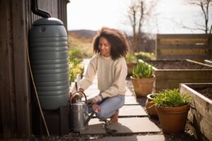 woman getting rainwater from rain barrel