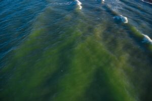 blue and green sea waves in the morning