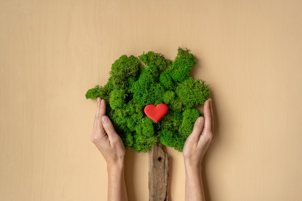 hands on a tree with a heart in the center