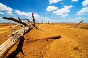 dry drought desert with a blue sky in background