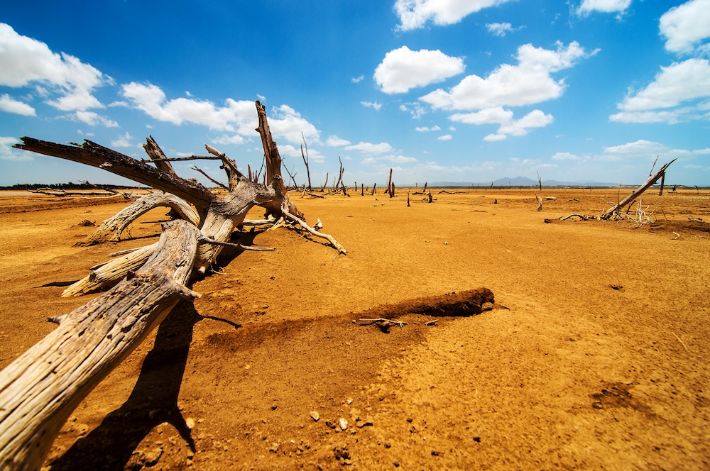dry drought desert with a blue sky in background