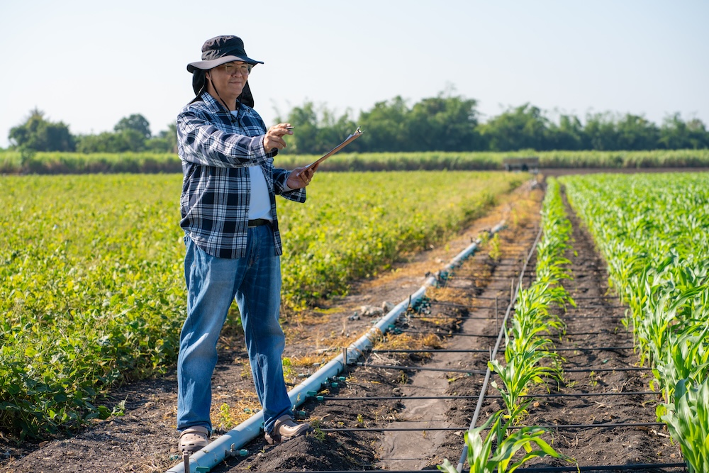 woman planning her irrigation for her crops
