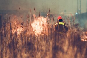 firefighter trying to put out a bush fire