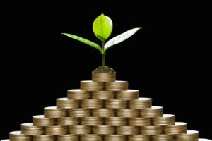 Pyramid of coins stacked with a plant growing out of the top