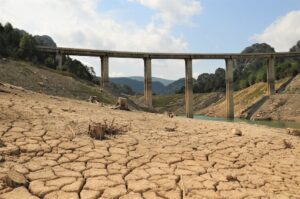 Dry cracked land by a low river