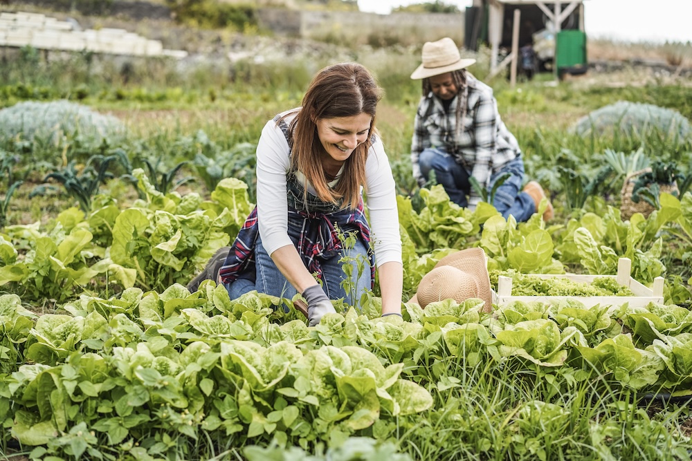 Two women working together on a farm