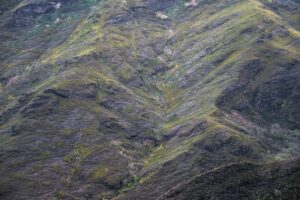 sloping terrain with vegetation