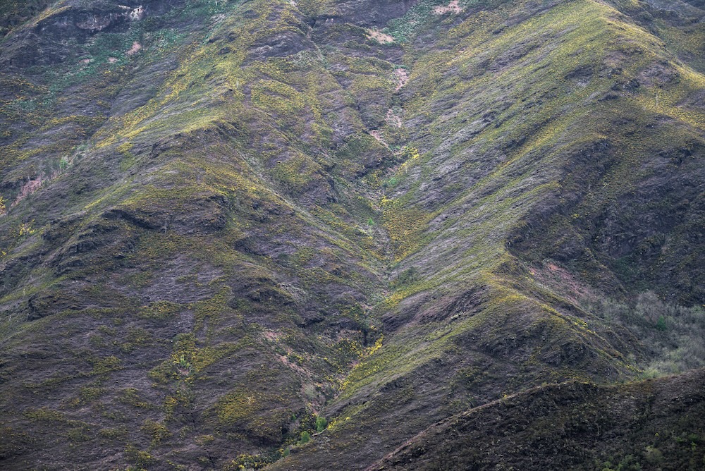sloping terrain with vegetation