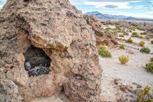 human remains inside a rock formation