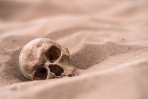 human skull in the dry desert sand