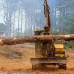 tractor removing trees due to deforestation